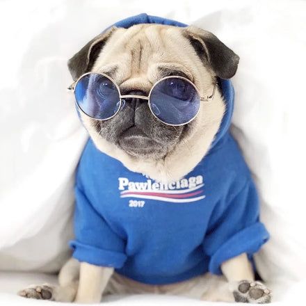 Manufacturer Wholesale Dog Hoodie Pet Clothing Cat Hoodie Fashion Street Wear Blue Dog Sweat Shirt Dog Apparel Pet Clothes