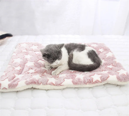 Double Sided Soft Flannel Cashmere Thickened Keep Warm Pet Beds Soft Fleece Pad Pet Blanket Bed Mat for Cushion Home Rug