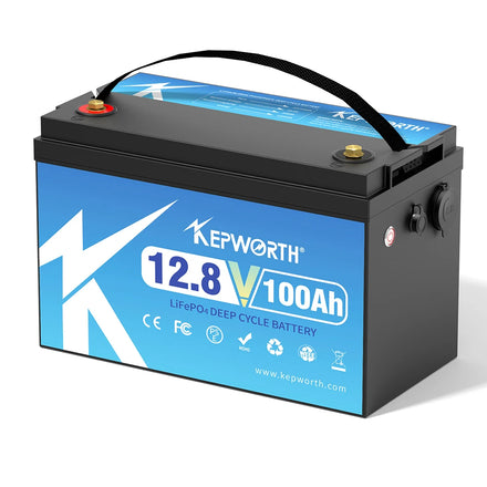 Surprise Price 12V 100AH LiFePO4 Cells 12.8V Lithium Iron Phosphate Built-in BMS Battery 4000+ Cycles for RV Campers Golf Cart