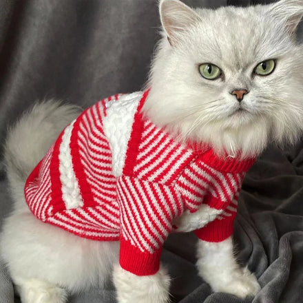 Hot Sale Designer Winter Cat Clothes Warm Knitted Cashmere Thickened Puppy Cat Sweaters Clothing