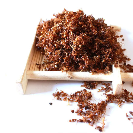 China Origin Wholesale Wild Raw Edible Natural Dried Fire Ants for Sale