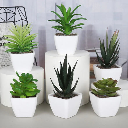 DREA Indoor and Outdoor Decor Plastic Durable Plant Mini Artificial Succulent Planter Flower Pot for Desk Plants