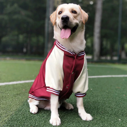 Autumn Winter Dog Coat Apparel Golden Retriever Labrador Dog Baseball Jacket Clothes for Medium Large Dog