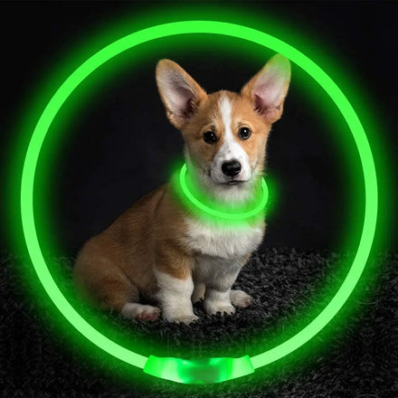 Led Dog Collar USB Rechargeable Flash Dog Necklace Light up Pet Safety Collar Bright & High Visibility Lighted Glow Dog Collar
