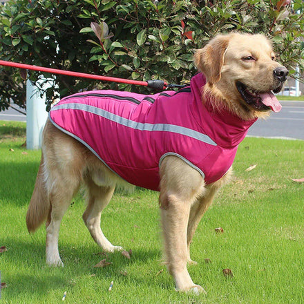 Reflective Waterproof Dog Cotton Clothing Outdoor Large Dog Coat Zipper Large Breed Dog Clothes Winter Jacket with Leash Hole