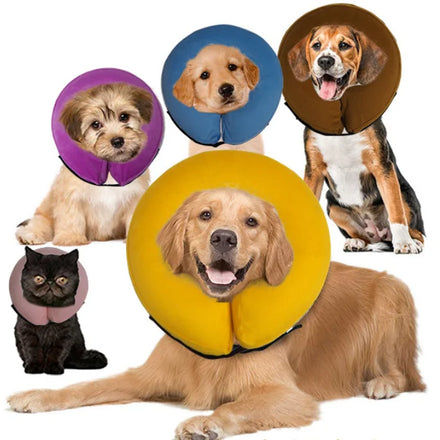 Elizabeth Inflatable Dog Collar with Lights Solid Pattern Scarf Decoration-Anti-Bite & Anti-Lick for Dogs & Cats