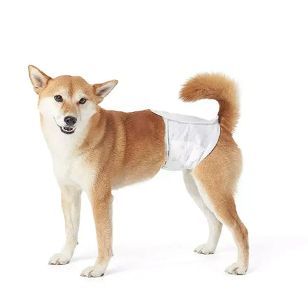 China Factory Wholesale Male Female Dog Wrap Dog Disposable Pet Panales Para Perro Dog Diaper