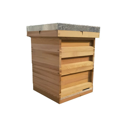 British market national hive UK beehives