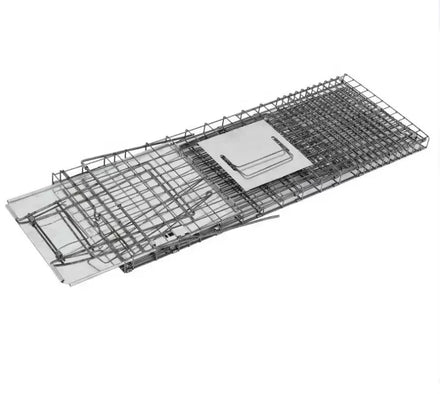 Large Humane Trapping of Raccoons and Similar Sized Animals