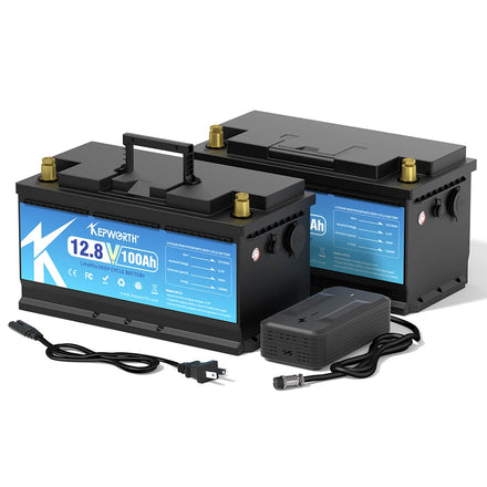 OEM Service for 4000+ Deep Cycle 12v 100AH Battery 12.8v 100ah Lifepo4 Lithium Battery with BMS for RV Golf Carts Scooter Boat