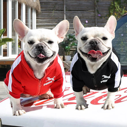 Designer Autumn And Winter French Bulldog Zipper Dog Sports Jersey Sweater Fashion Sports Dog Coats Clothes
