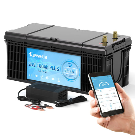 Germany Stock 24v 100ah Lifepo4 Deep Cycle Lithium Battery 25.6v 100ah Lifepo4 Battery Pack 2560WH Energy Storage Battery