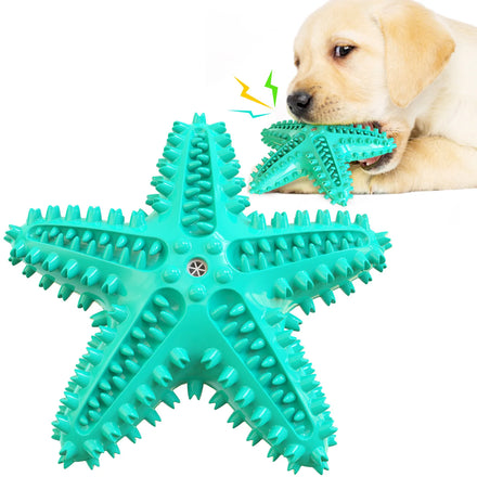 2023 Top Selling TPR Dog Chew Toy Durable Starfish Squeaky Bone Molar Stick Pet Toothbrush and Playful Dog Toy