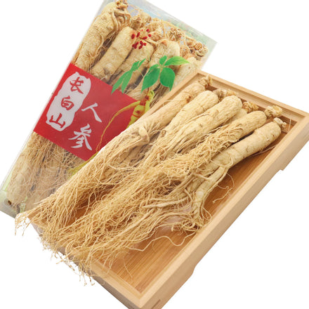 Wholesale Price Natural Wild Panax Ginseng Root Dried Red Korean Ginseng Extract Whole Ginseng Root Plant