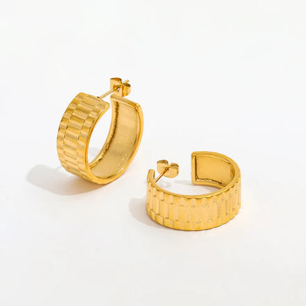 Fenny 18K Gold-plated Fashion Chunky Watchband Trendy Hoop Earring for Women Wholesale Stainless Steel Ladies Jewelry