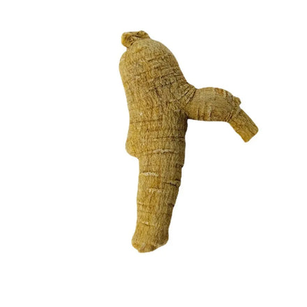 Hua qi Shen Natural Dried America Ginseng Raw Whole North American Ginseng Root for Herb