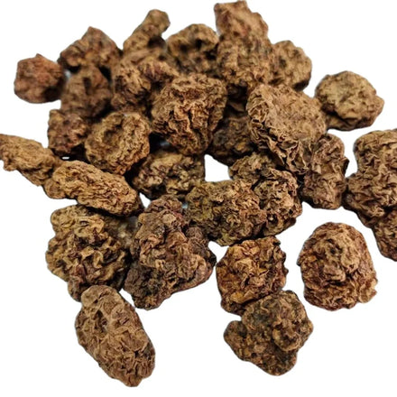 Hot Selling Cat Decompression Actinidia Polygama Fruits Matatabi Insect Gall Fruit Dried AD Raw