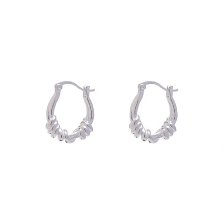 Wholesale Silver Earrings for Women Fashion Jewelry Pendientes Twist Hoop Earrings