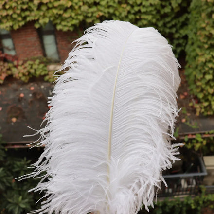Hot Selling Big Large White 65-70 cm Ostrich Feathers for Carnival Party Crafts Wedding and Feather Light