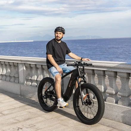 DYU New Model Speed Electric Dirt Bike Adults 750W Motor Internal 48V Battery Aluminum Fork Material Fat Tire Electric Bicycle