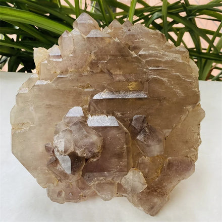 Natural Raw Amethyst Crystals Specimen Rough Crystal Stone Backbone