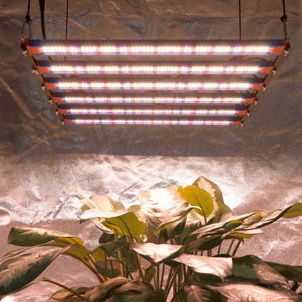 Led Plant Growth Light Lm301h 320W LED Grow Light Factory Direct Full Spectrum 240w Aluminum IP65 Led Ful Spectrum Grow Light