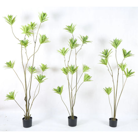 Factory Price 150CM 180CM 200CM Fake Greenery Lily Bamboo Artificial Dracaena Reflexa Plastic Indoor Plants for Home Art Decor
