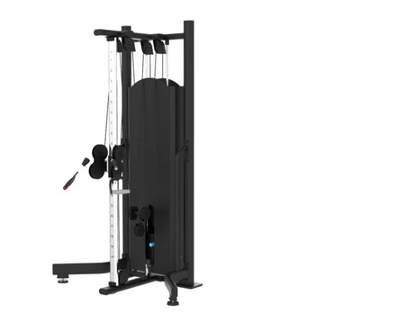 Commercial Quality Large Small Bird Trainer Unilateral Cross Pull Down Arms Crossed Gym Equipment