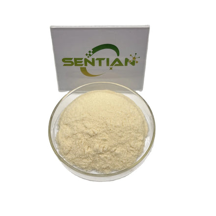 Food Grade Vegan Cream Yogurt Flavor Powder for Ice Wholesale Price Yogurt Powder