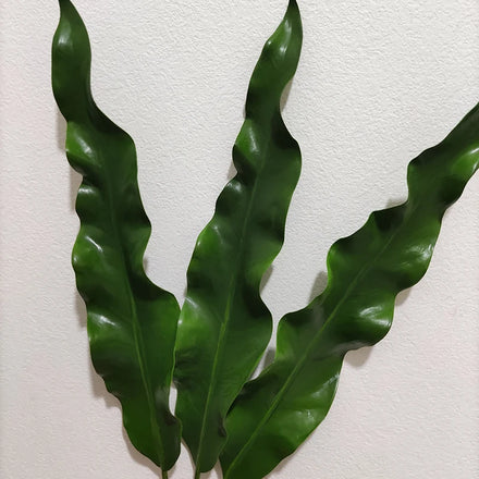 Large Spear Leaf Faux Gymea Artificial Leaf Home Decoration Real Touch Silk & Plastic 70/104cm