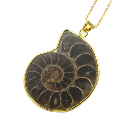 Cheap Price Gold Plated Surround 30-40mm Big Size Natural Ammonite Fossils Pendants
