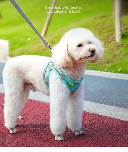 Pets Harness Collar for Cats Dogs Adjustable Vest Traction Rope Reflective Strap Button Closure Letter Eco-Friendly Polyester