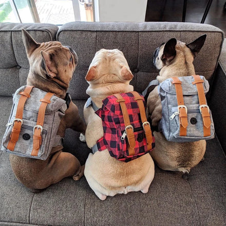 Cute Pet Backpack Large-capacity Dog Snack Bag Puppy Portable School Bags Convenient for Small Medium Dogs