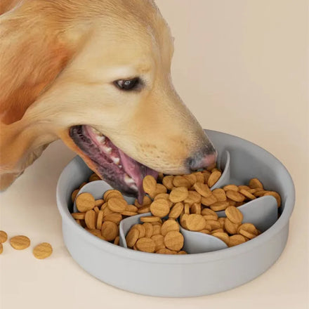 Slow Eat Feed Bowl Food Water Stand Personalised Elevated for Dog