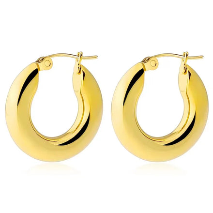Wholesale Stainless Steel Hoop Earrings 18K Gold Plated PVD Chunky Hoop Earring for Women Fashion Jewelry Silver Cheap Factory