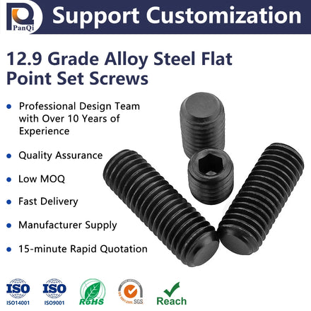 High Quality PANQI Metric 12.9 Grade Alloy Steel Black Oxide Finish Head Flat Point Hexagon Socket Set Screws 1 Dollar Wholesale