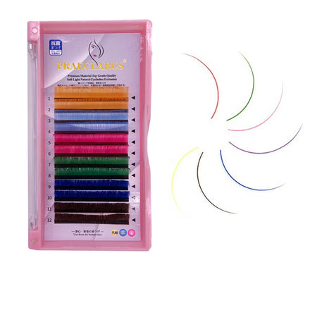 PRAECLARUS Private logo Cilios Eyelash Extension Individual Eyelash Rainbow Color Lash 8 Color Mix Real Colorful Eyelashes