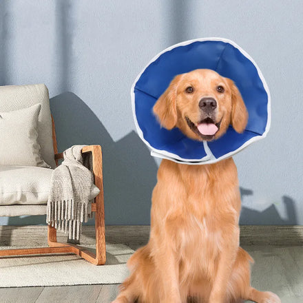 Wholesale Stocked Elizabeth Surgical Cone Pet Dog Cat Collar Soft Ring