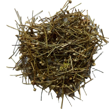 Gu Jing Cao New Dried Natural Pipewort Eriocaulon Buergerianum Inflorescence Globe Flowers for Herb