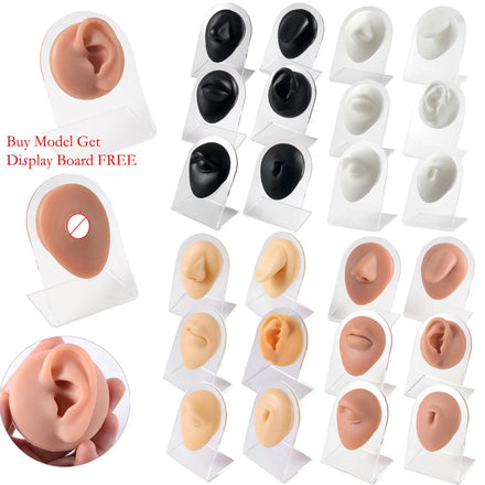 SHUIMEI Black Brown White Skin Color Silicone Model Acrylic Stand Ear Mouth Navel Tongue Eyebrow Piercing Practice Model Number