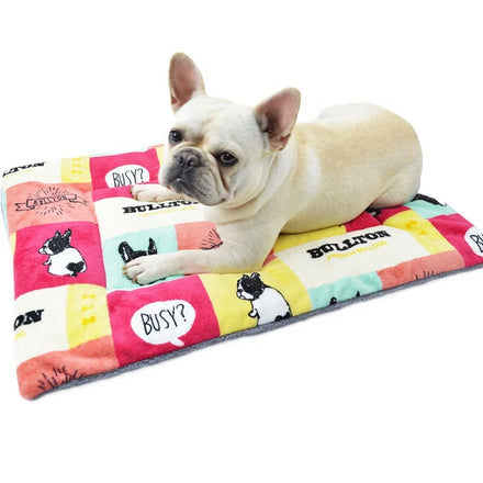 Pet Product Dog Accessories Warm Thickened Pet Blanket Cat Coral Cushions Flannel Fleece Cute Dog Blanket