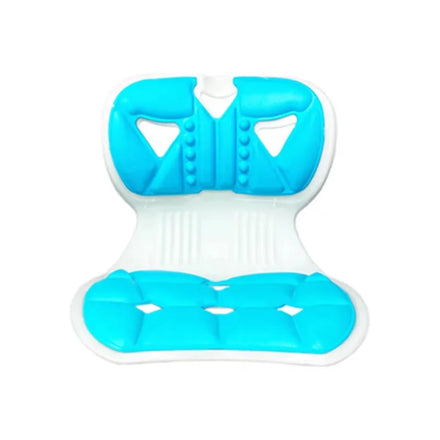CW PTC003 One Size Posture Correction Chair Back Curve Spine Cushion Waist Back Lumbar Support Seat