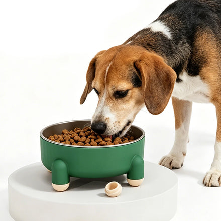 Wholesale Stainless Steel Washable Detachable Dog Bowl Non slip Bottom