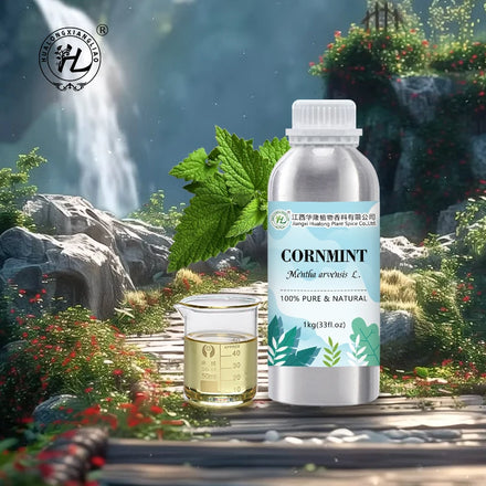 Cornmint Oil | Wild Mint Oil | Japanese Mint Essential Oil - 100% Pure Natural Plant Extract Therapeutic Grade | Bulk Price 1kg