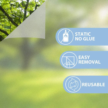 Window Film HOMEWELL Professional Manufacturer of Many Different Types Decorative Glass Film
