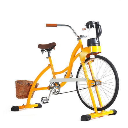 EXI New Update Style Fruit Smoothie Bicycle Fresh Juicer Other Blender Cycling Bike with Blender Pedals