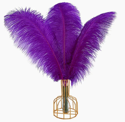 30-35cm 30-35cm Floral Decor White Large Black Plumes Natural Ostrich Feathers for DIY Craft Party Festive Carnival Wedding