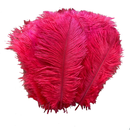 Bulk 55-60cm Floral Vase Party Large DIY Craft Decor Natural Cheap Plumes Ostrich Feathers for Wedding Centerpieces Home Decor