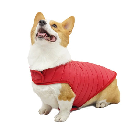 New Classic Dot Double Sided Pet Down Cotton Coat White Chongtapet Bichon Frise Corgi Golden Retriever Dog Winter Warm Vest