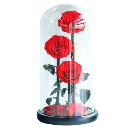2026 Valentine's Day Gift Everlasting Preserved Roses Beast 3 Flowers Wholesale Eternal Rose in Glass